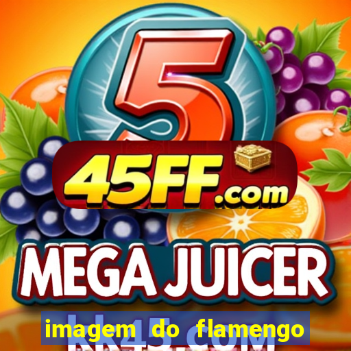 imagem do flamengo para perfil
